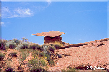 Hoodoo als Batchelor Mütze